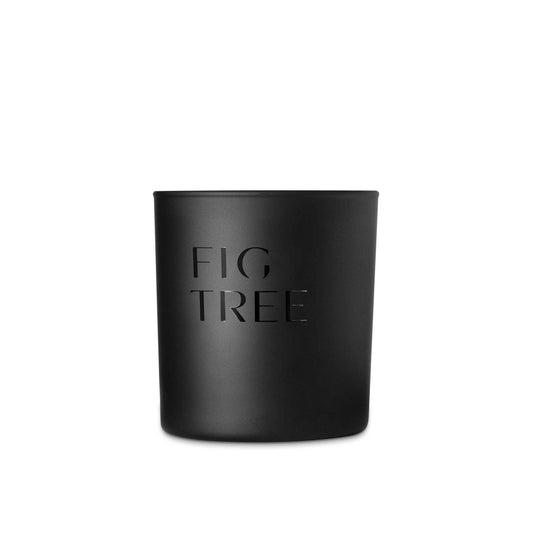 Scented Candle, Fig Tree